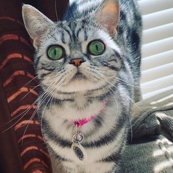 BUY MY TRASH! - Picture 14 of 16